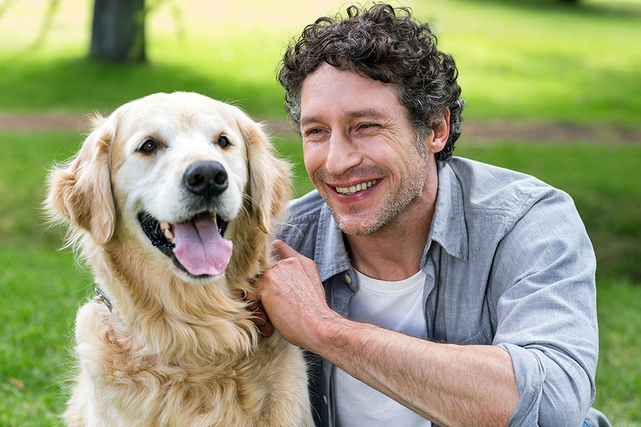 veteran.and.service.dog.png