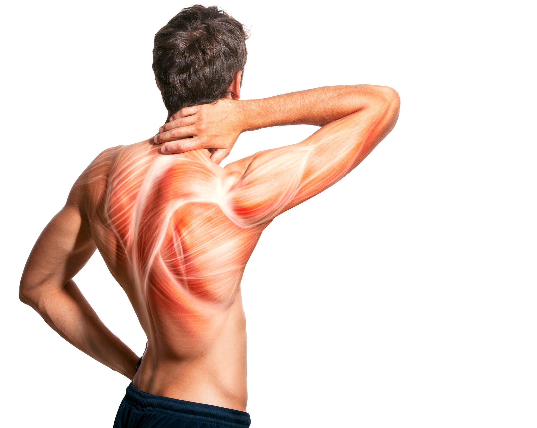 Going Deeper: Muscle Rehabilitation &amp; the RS-4i® Plus