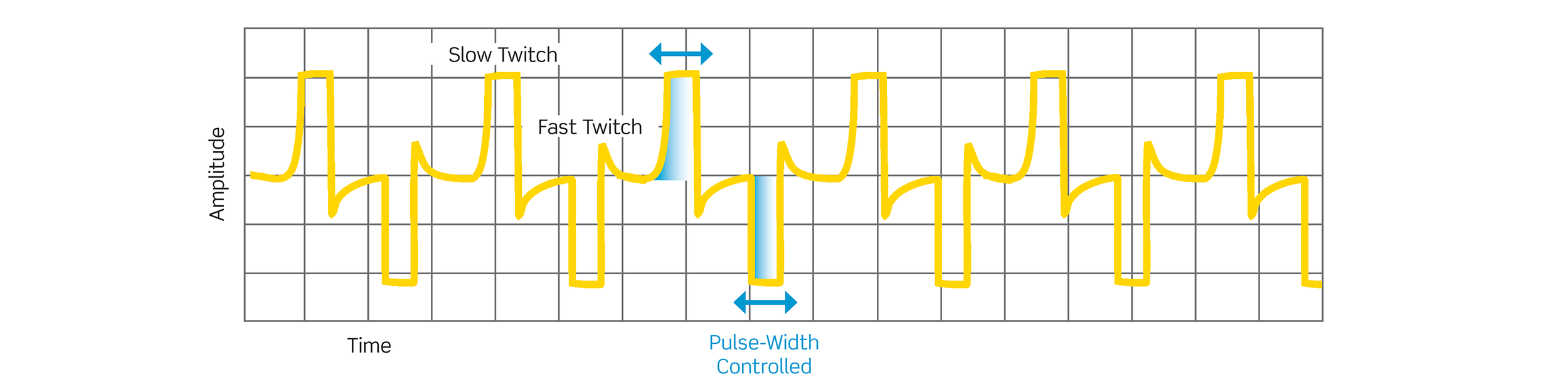 Fast Twitch:Slow Twitch Waveform.png